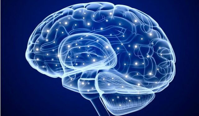 ۵ خوراکی فوق العاده برای تقویت حافظه