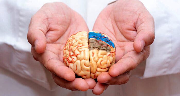 راهی برای پیشگیری از آلزایمر