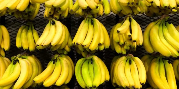 ۵ غذای سالم که در کمال تعجب باعث مرگ میشوند!