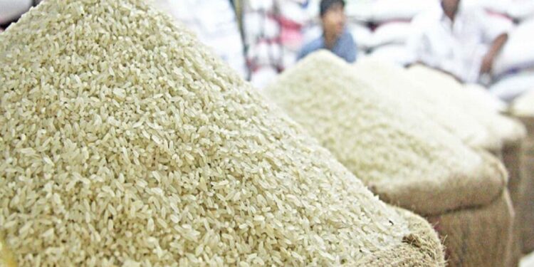 افزایش قیمت برنج ایرانی و خارجی در بازار؛ برنج ایرانی کیلویی چند شد؟